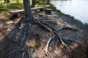 Stuga att hyra i Grythyttan