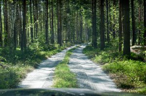 Stuga att hyra i Grythyttan