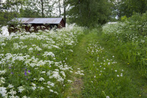 Herrgården i Grythyttan