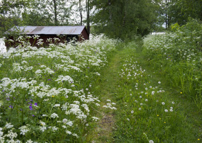 Herrgården i Grythyttan