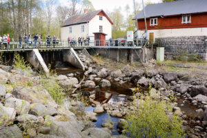 Forsens dag i Grythyttan