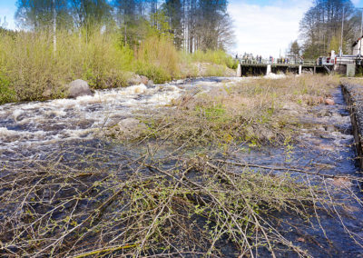 Forsens dag i Grythyttan