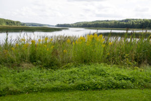 Nära till naturen
