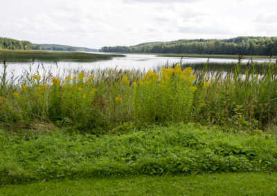 Nära till naturen