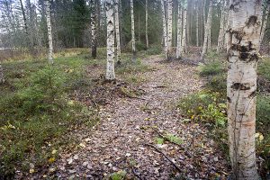 Naturstigen Grythyttan