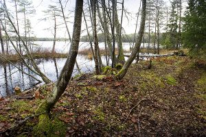 Naturstigen Grythyttan