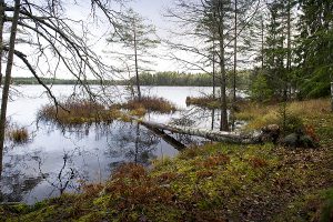 Naturstigen Grythyttan