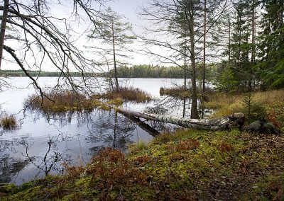 Naturstigen Grythyttan