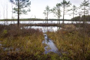 Naturstigen Grythyttan