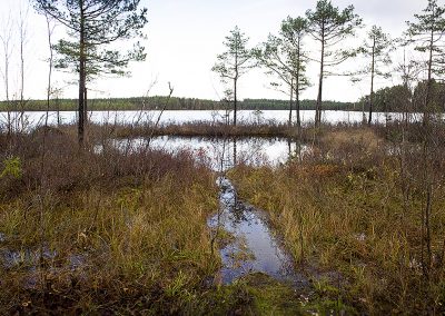 Naturstigen Grythyttan