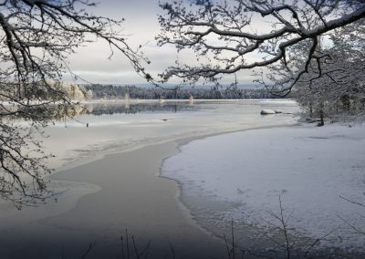 Foto: Susann Rickan