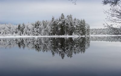 Välkommen tillbaka i vår!