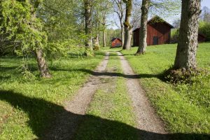 Möt våren på Herrgården i Grythyttan