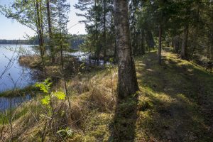 Naturstigen på våren