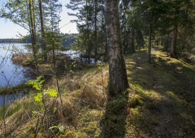 Naturstigen på våren