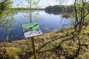 Naturstigen Grythyttan på våren