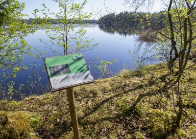 Naturstigen Grythyttan på våren