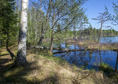 Naturstigen Grythyttan på våren
