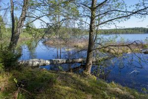 Naturstigen Grythyttan på våren