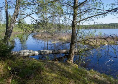 Naturstigen Grythyttan på våren