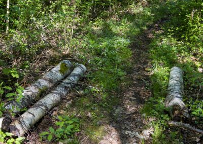 Naturstigen Grythyttan på våren