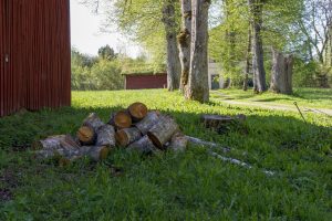 Naturstigen Grythyttan på våren