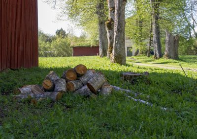 Naturstigen Grythyttan på våren