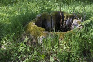 Gammal stubbe vid Herrgården i Grythyttan