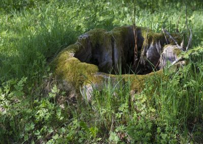 Gammal stubbe vid Herrgården i Grythyttan
