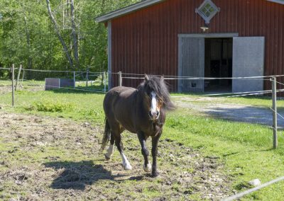 Möt våren på Herrgården i Grythyttan