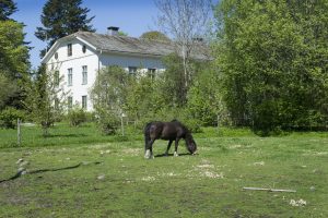 Möt våren på Herrgården i Grythyttan