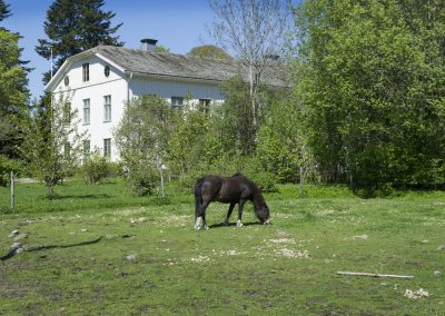Möt våren på Herrgården i Grythyttan